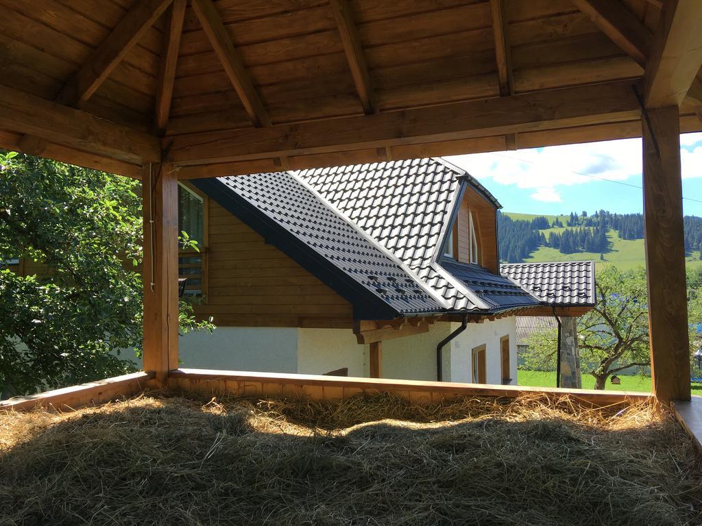 Cottage Familiya Verkhovyna Exterior photo